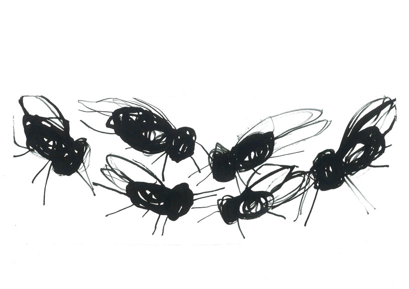 Stevie Cohen - Flies