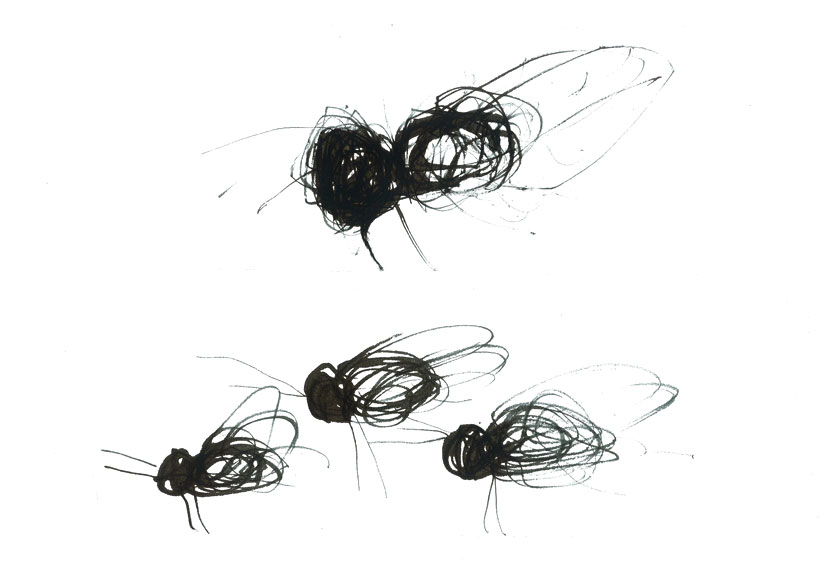 Stevie Cohen - Flies