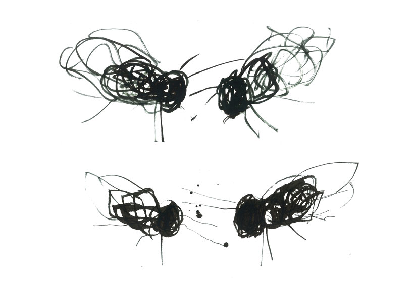 Stevie Cohen - Flies