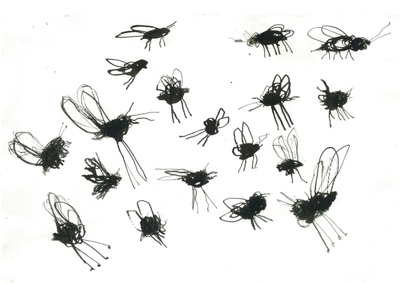 Stevie Cohen - Flies