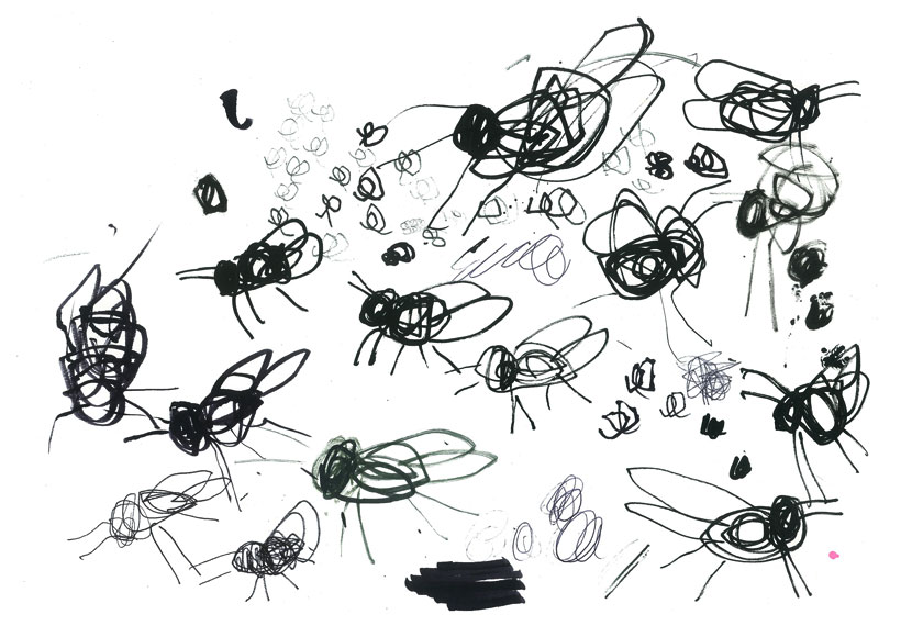 Stevie Cohen - Flies