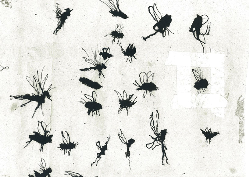 Stevie Cohen - Flies