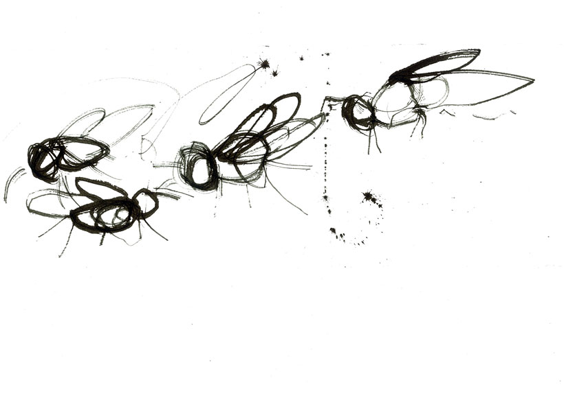 Stevie Cohen - Flies